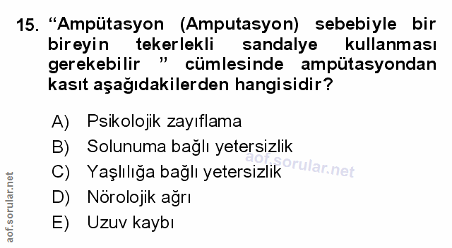 Soru 15