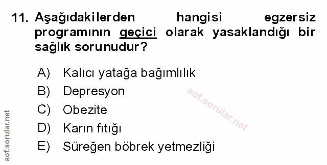 Soru 11