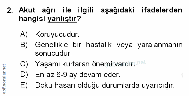 Soru 2