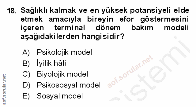 Soru 18