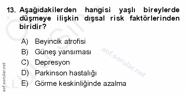 Soru 13