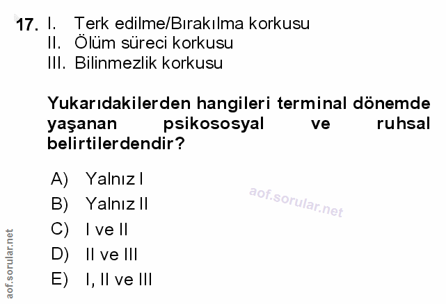 Soru 17