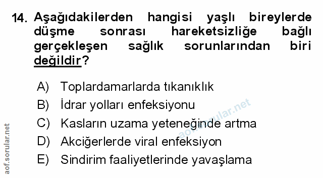 Soru 14