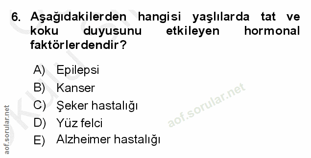 Soru 6