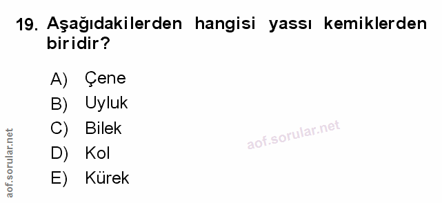 Soru 19