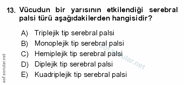 Soru 13