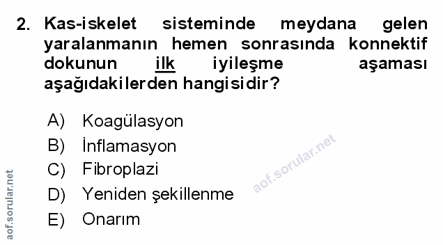 Soru 2