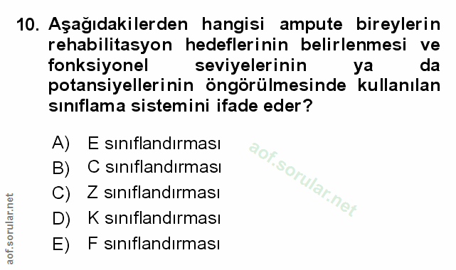 Soru 10