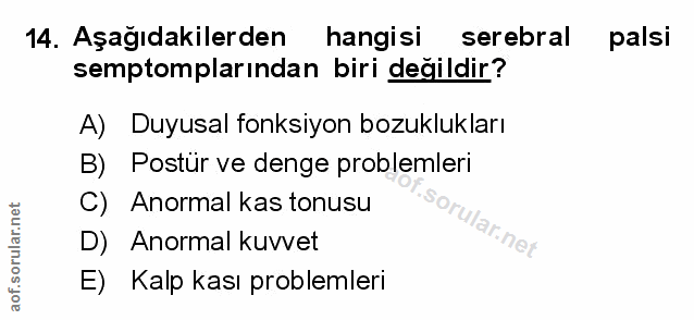 Soru 14