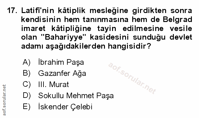 Soru 17