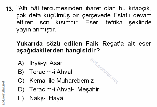 Soru 13