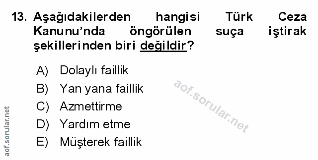 Soru 13