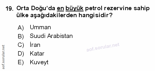 Soru 19