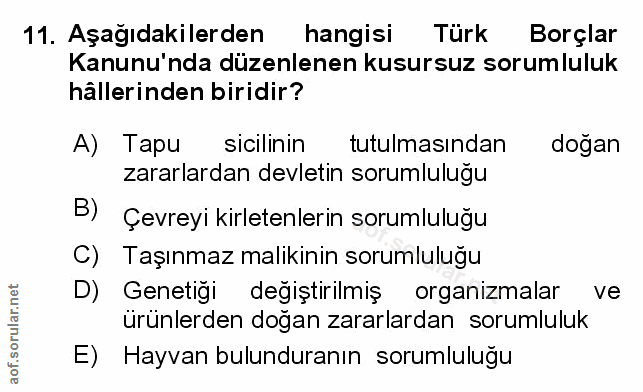 Soru 11