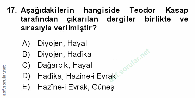 Soru 17