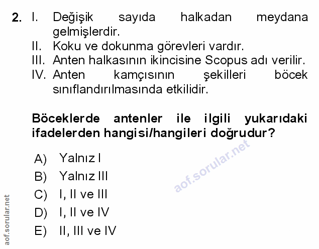 Soru 2