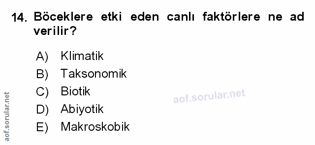 Soru 14