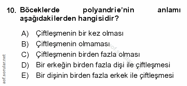 Soru 10