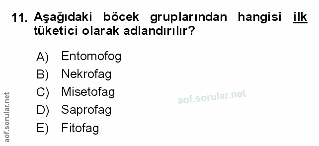 Soru 11