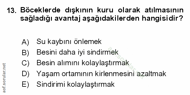 Soru 13