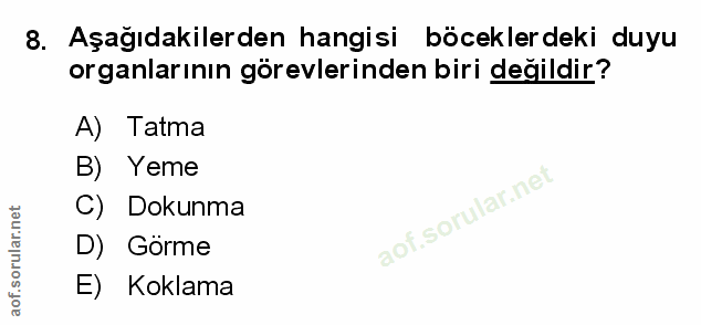 Soru 8