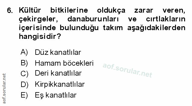 Soru 6
