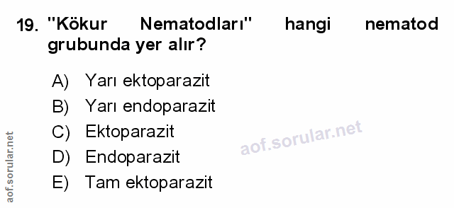 Soru 19