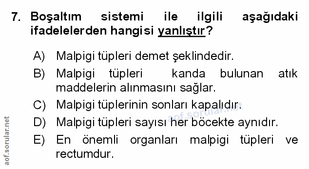 Soru 7