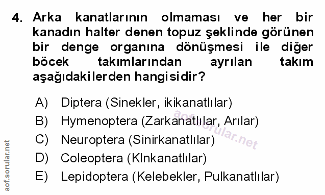 Soru 4