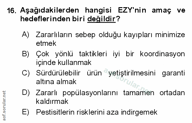 Soru 16