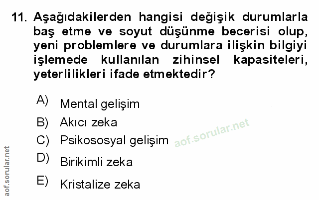 Soru 11