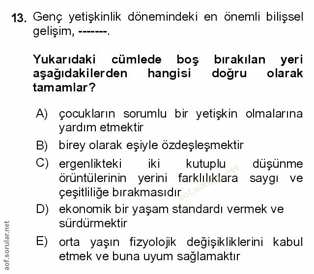 Soru 13