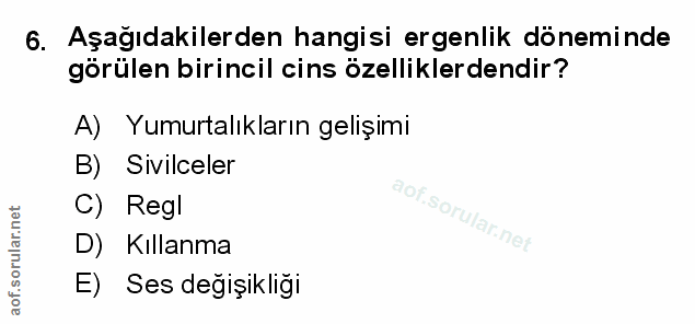 Soru 6