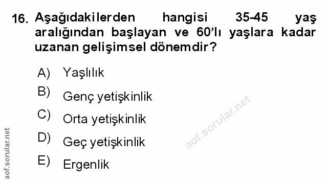 Soru 16