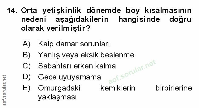 Soru 14