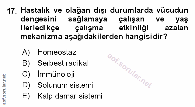 Soru 17