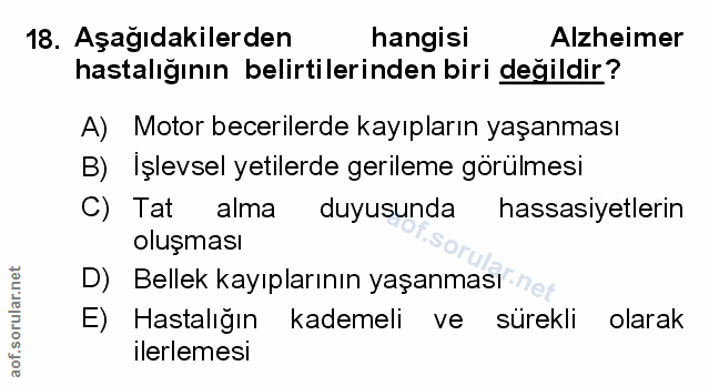 Soru 18