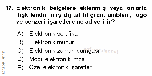Soru 17