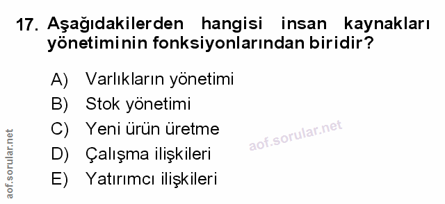 Soru 17
