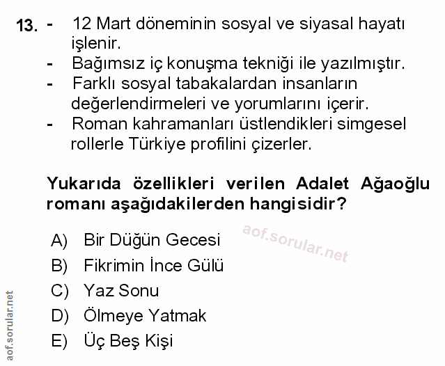 Soru 13