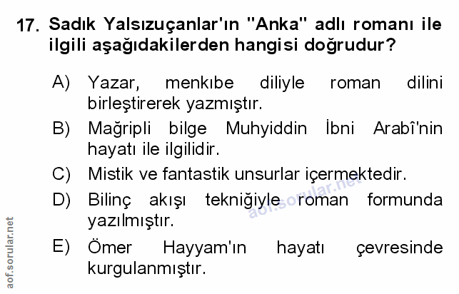 Soru 17