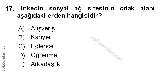 Soru 17