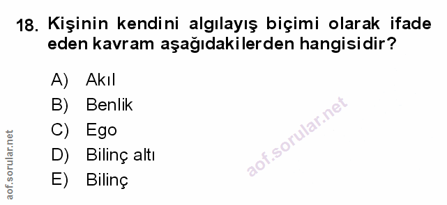 Soru 18