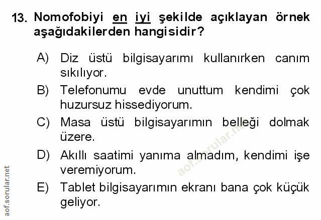 Soru 13