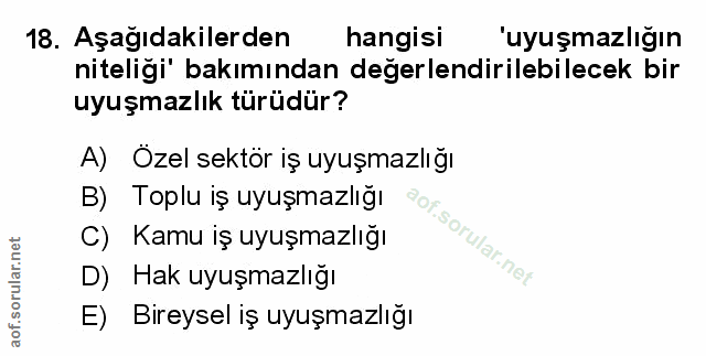Soru 18