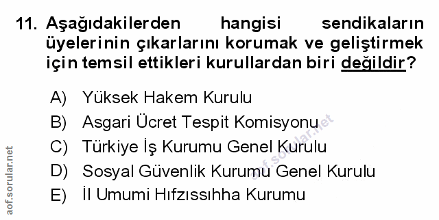 Soru 11