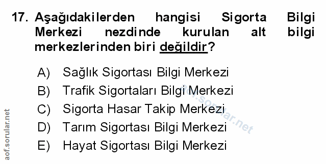 Soru 17