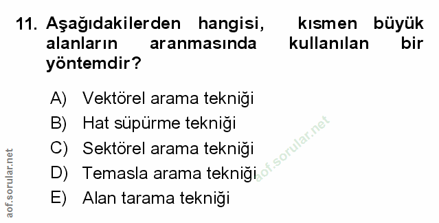 Soru 11