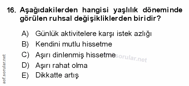 Soru 16
