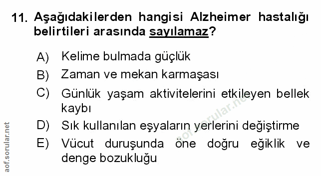 Soru 11